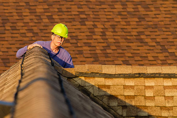 Best Local Roofing Companies  in Bronson, MI