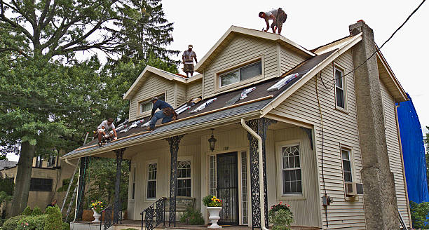 Best Storm Damage Roof Repair  in Bronson, MI